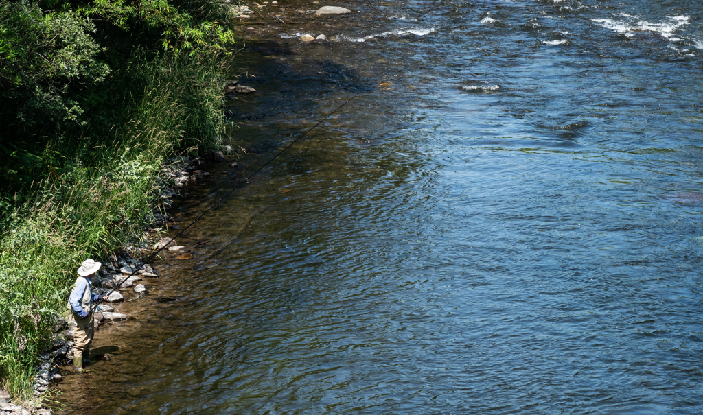 狙うはレインボーT