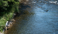 狙うはレインボーT