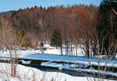 小川見える春模様