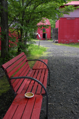 シゲチャンの作品