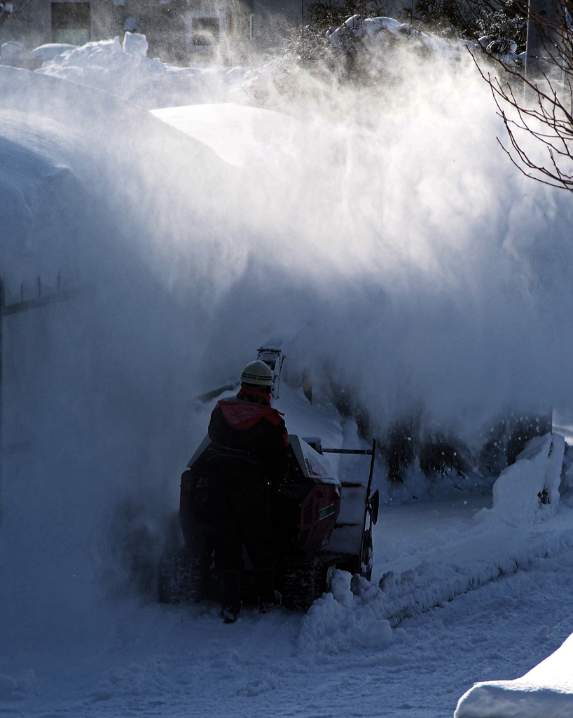 豪雪の後始末