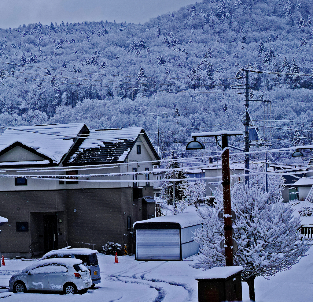 とう　とう　一変冬