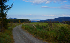 午後の高原牧場 9