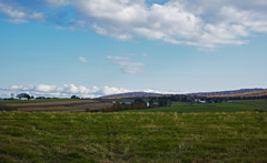 午後の高原牧場 8