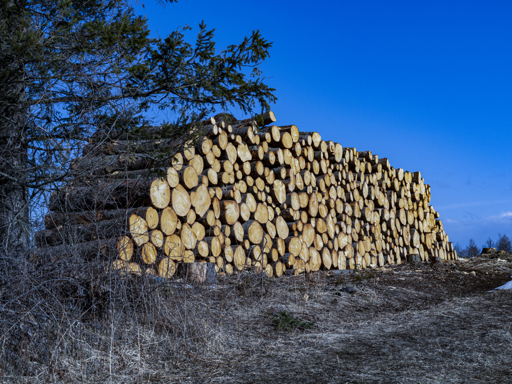 畑を守った最後の姿