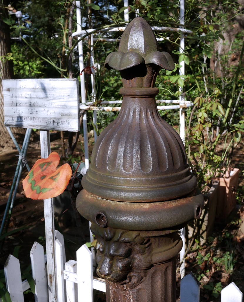 ハローウィン１