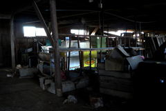 もう牛はいない