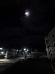 小雪チラリーノ