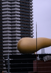 好きじゃないから尻尾カット