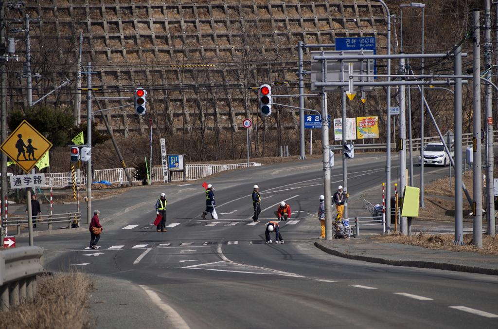 これも春　歩道プリント