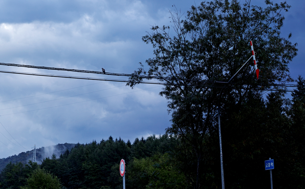 赤青デーデーポッポ