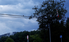 赤青デーデーポッポ