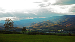 午後の高原牧場 4