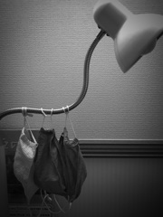 毎日　こまめに