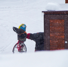 チャリンコ マニア