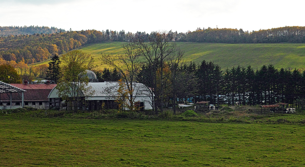 午後の高原牧場 7