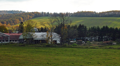 午後の高原牧場 7