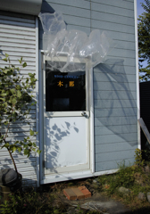 テントウ虫の襲来