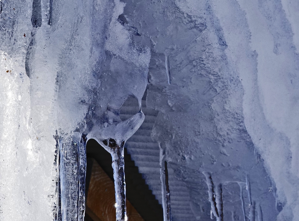小象とオオカミと氷神
