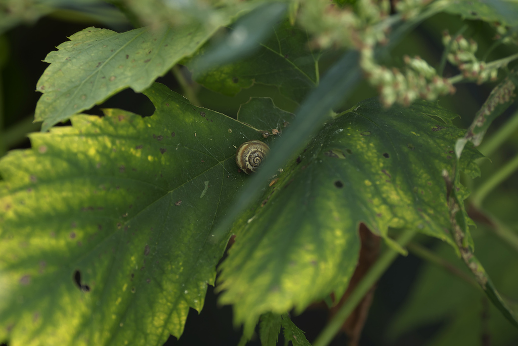 敬老の日だって