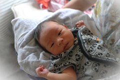 こたろう君 メンコイネ