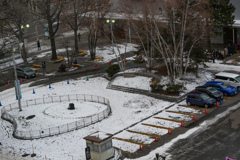 白樺も見える公園