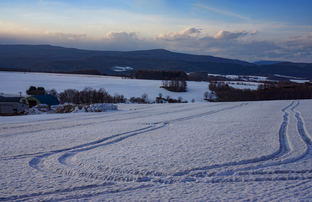 牧場の残雪
