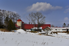 Verdant Hill Holsteins A