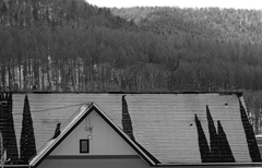 屋根キャンバス