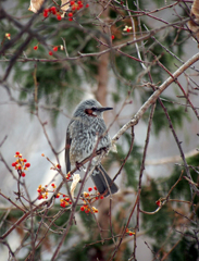 おしゃれな場所