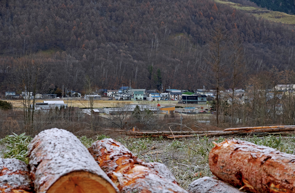 赤い三角幼稚園