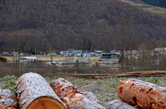 赤い三角幼稚園