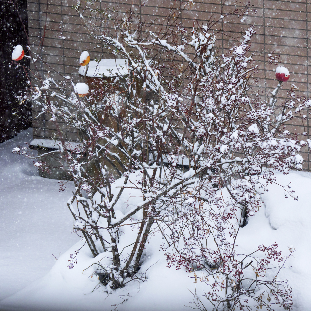 お待ちしております。