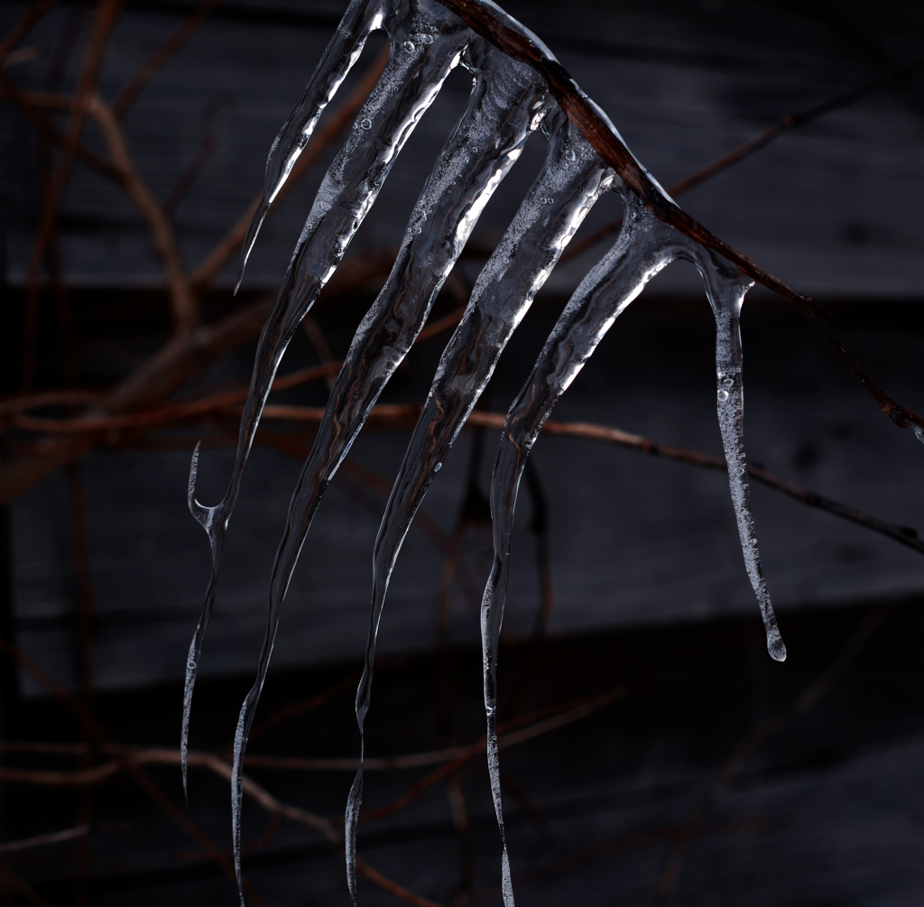 小枝のツララ A