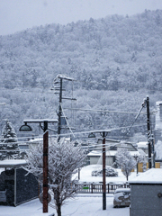 なごり雪