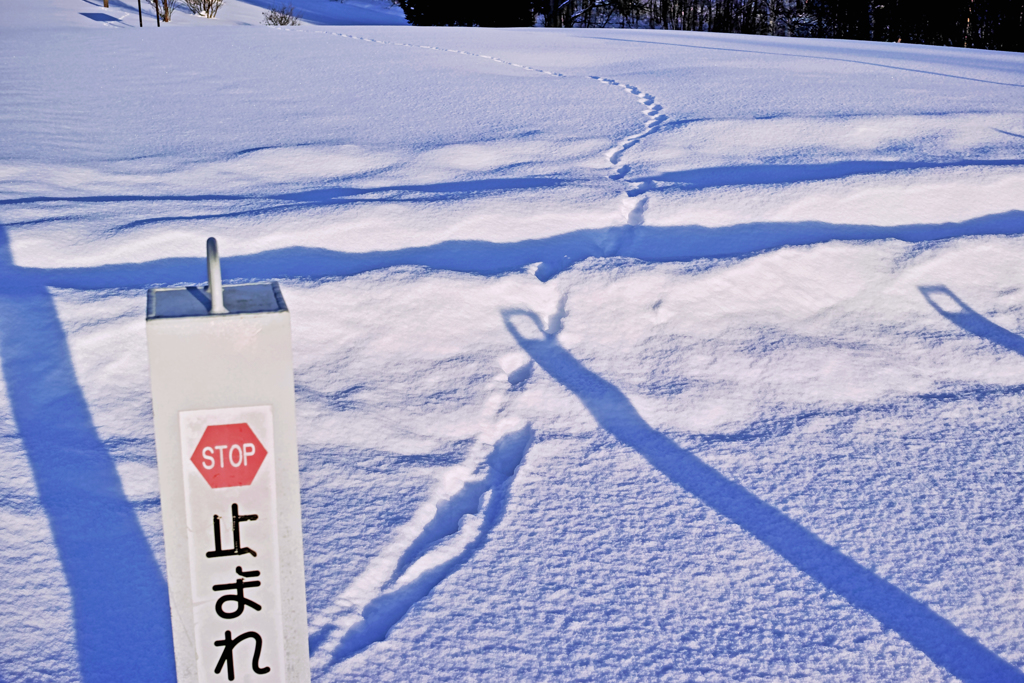 奴らにゃ　無理