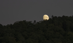 今宵は でっかい