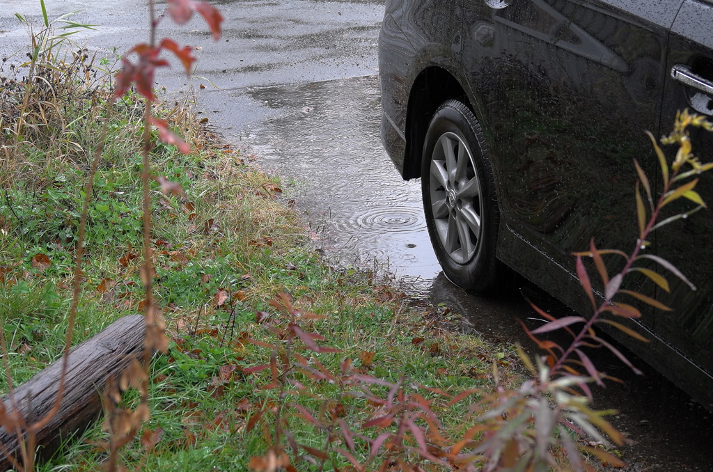 秋の小雨