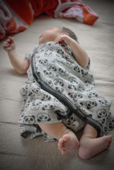 こたろう君めんこいね