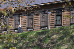 網走監獄博物館４