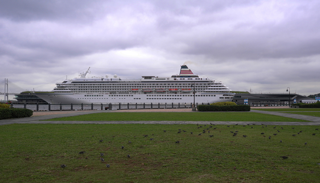 Yokohama9