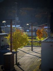 朝陽