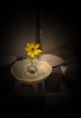 陶芸家の生花