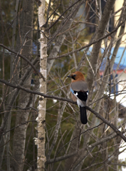 ひさしぶり！！