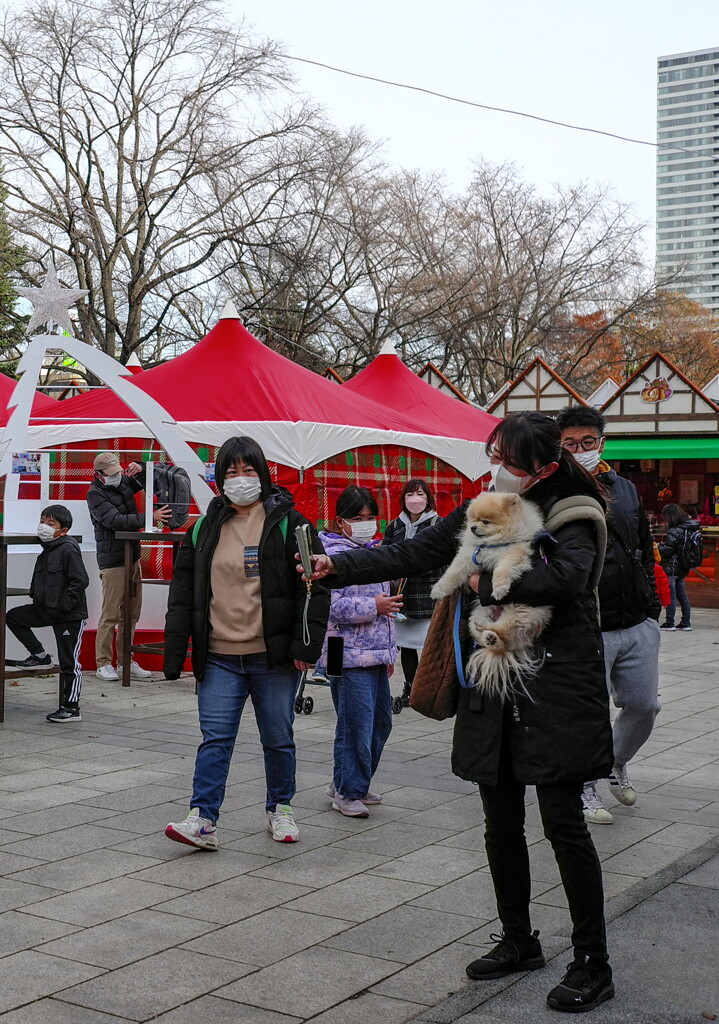 Christmas mood    sapporo