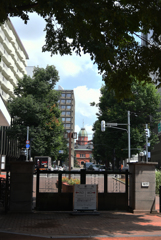 植物園から道庁赤レンガ