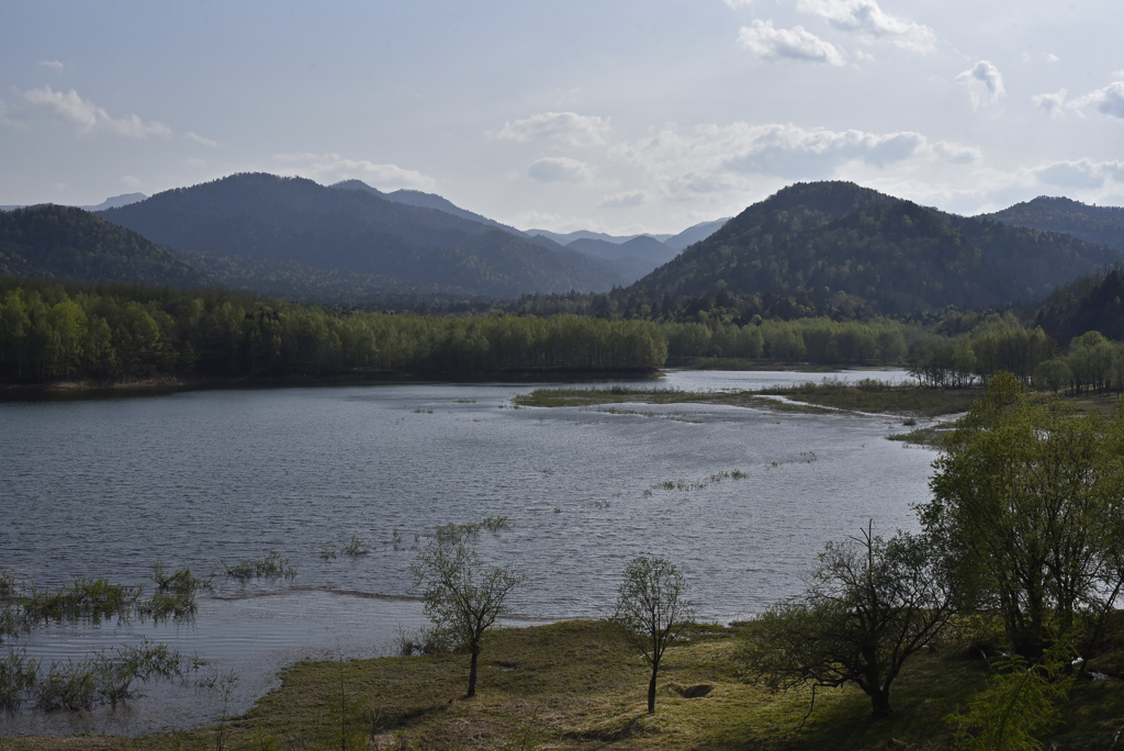 鹿の子ダム湖