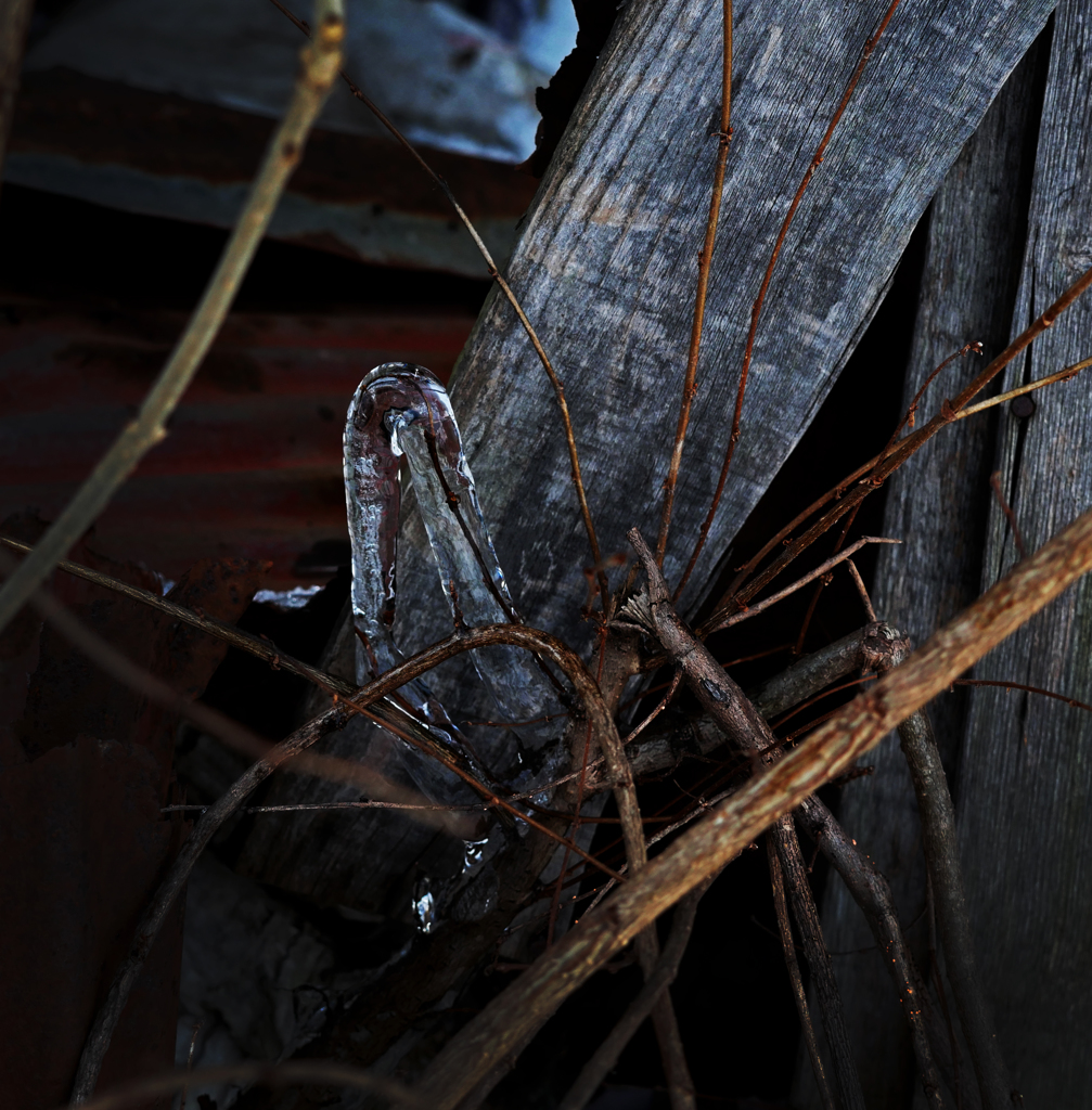 小枝のツララ C