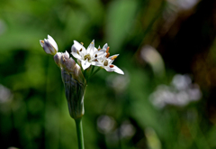 チョットいい感じ