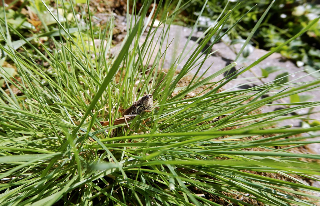 秋だ！うまいぜ